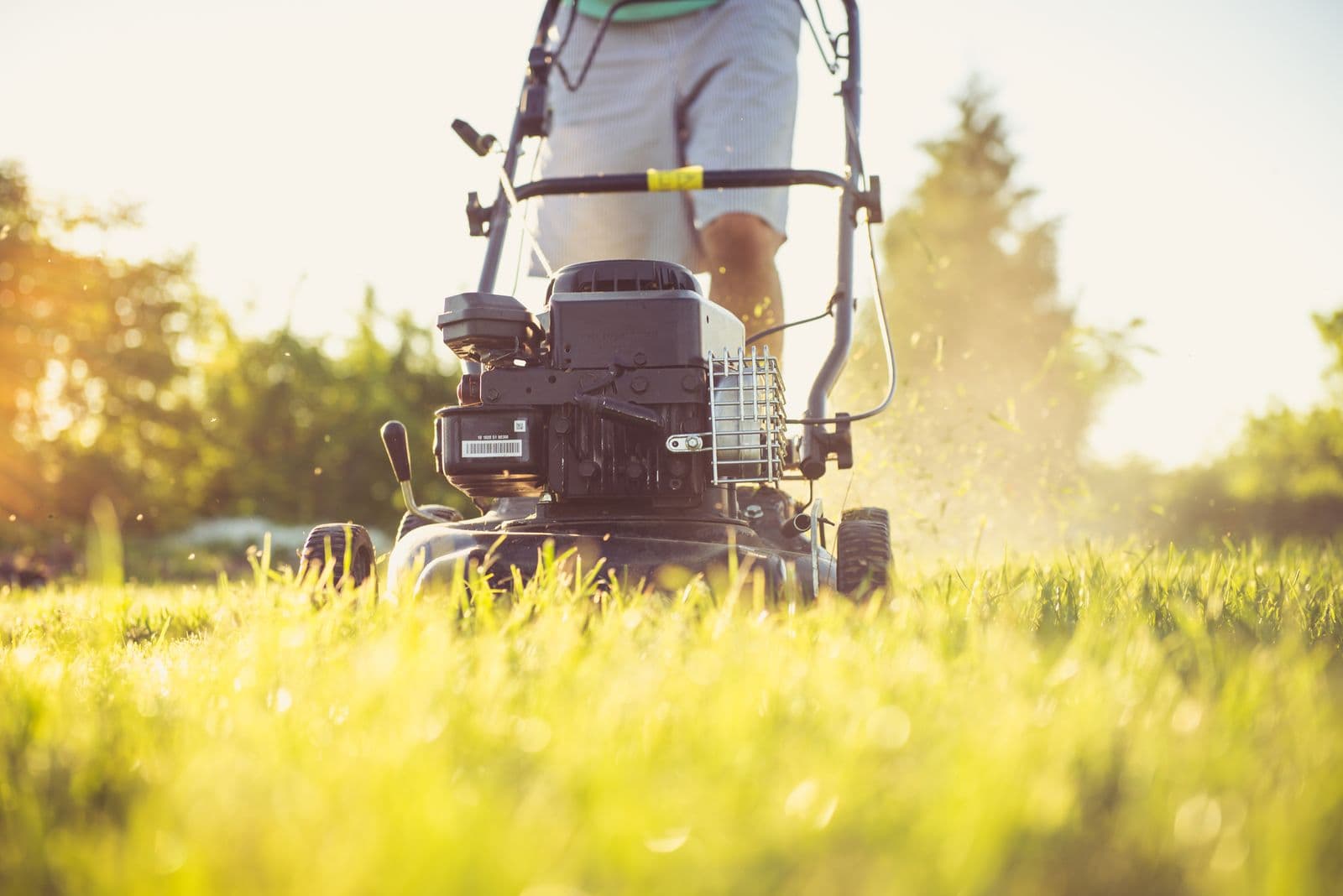 Push mower cutting grass in golden light