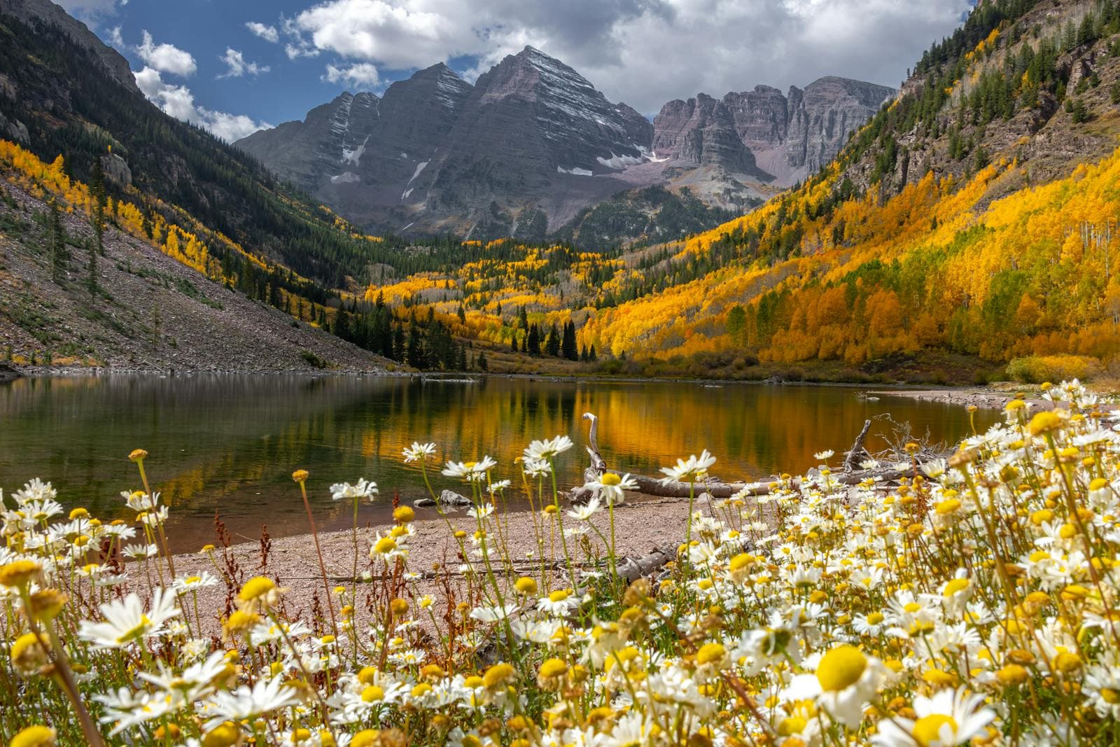 The Maroon Bells rise over a calm alpine lake ringed by golden aspens and white wildflowers in autumn.