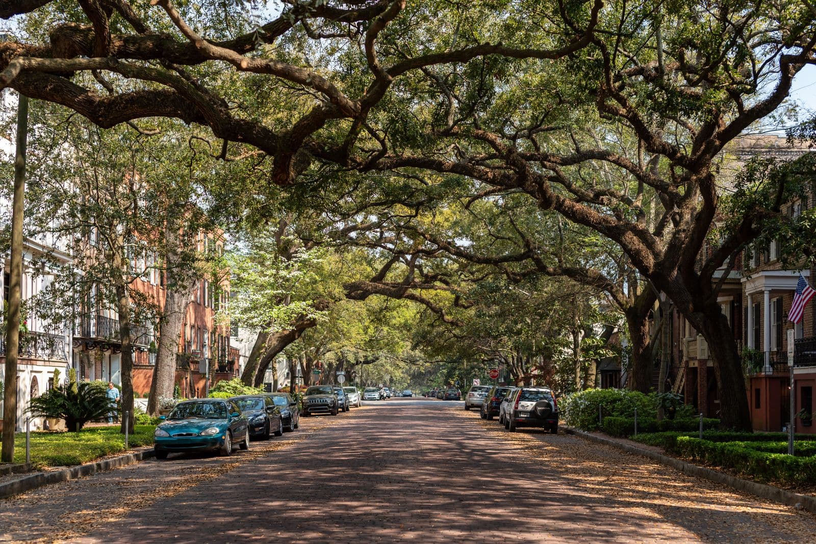 A historic Savannah street canopied by sprawling live oaks draped in Spanish moss.