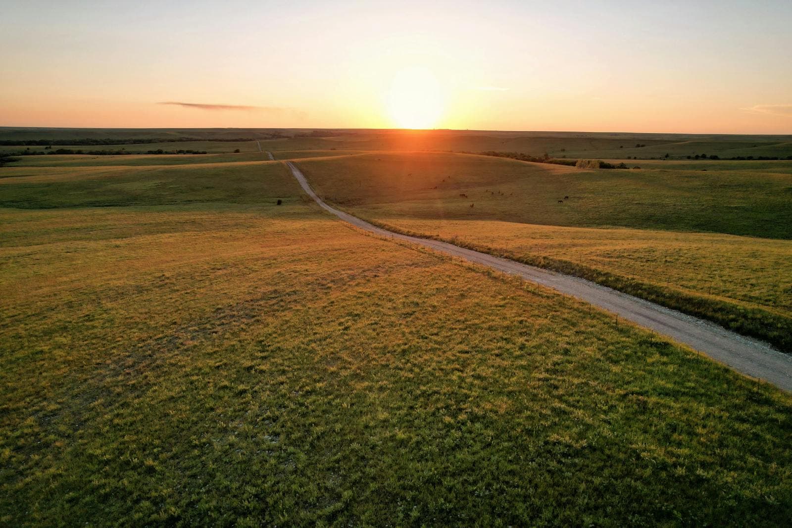 A dirt road winding through rolling golden prairie toward the setting sun near Eureka, Kansas.