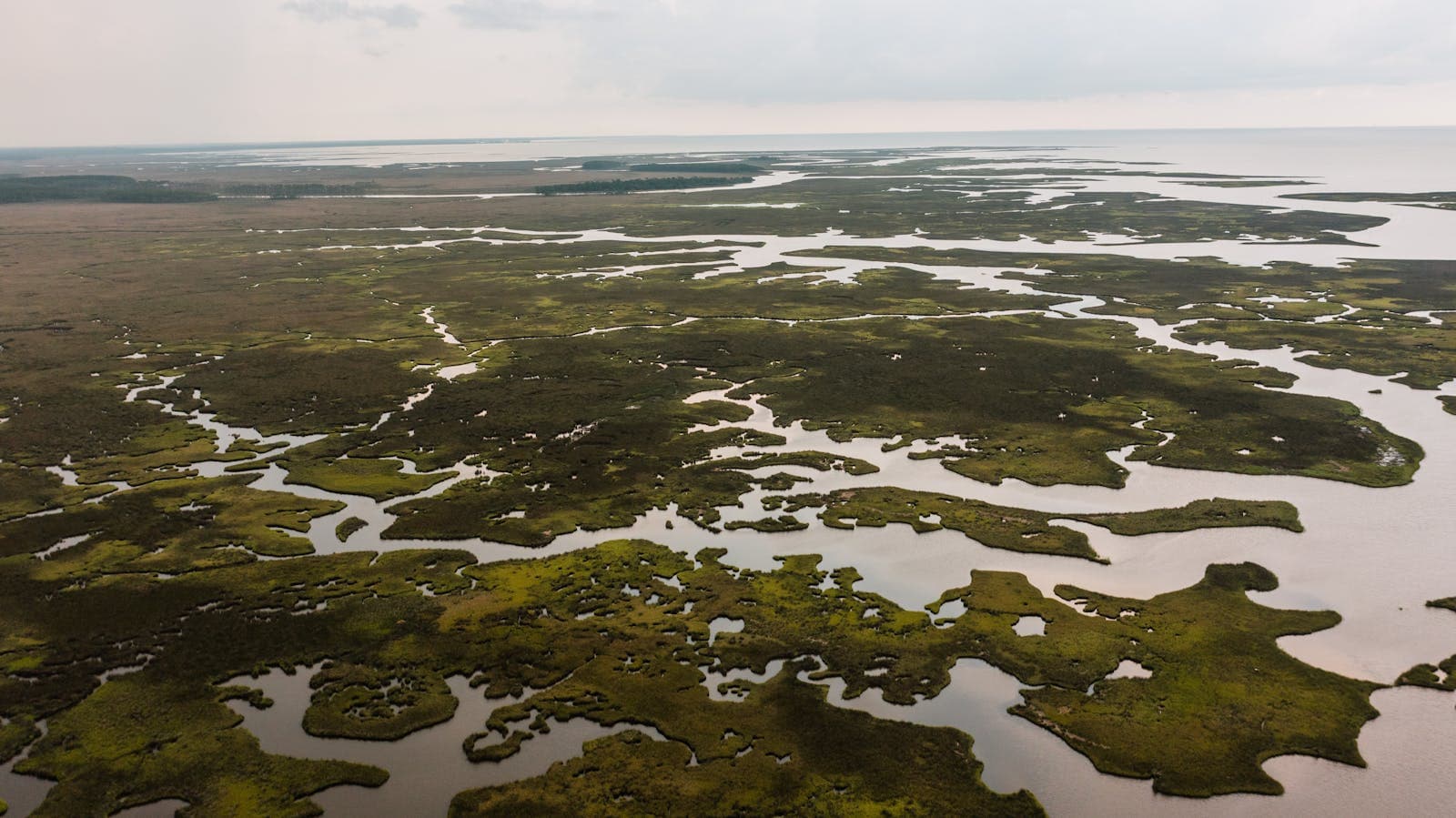 Aerial view of winding delta channels threading through lush green wetlands toward the Gulf horizon at Moss Point, Mississippi.