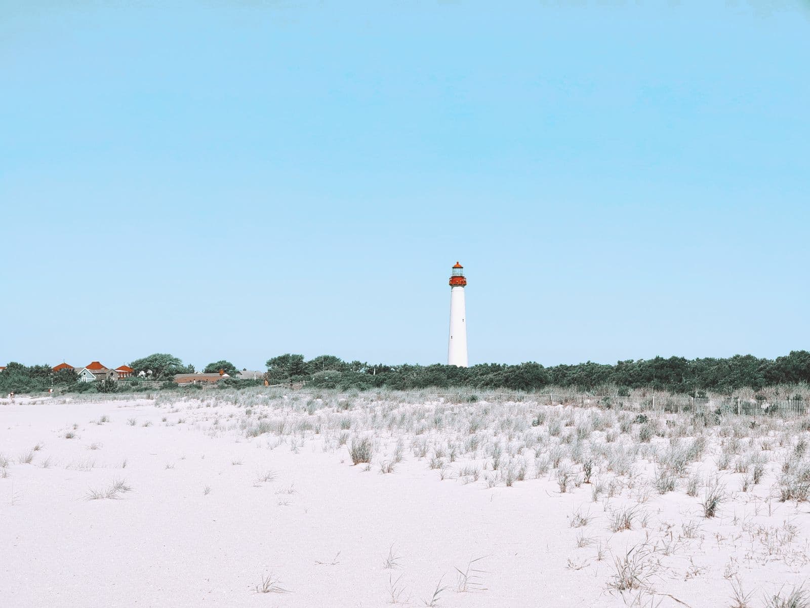 Cape May Lighthouse rises above grassy sand dunes under a clear blue sky on the New Jersey shore.