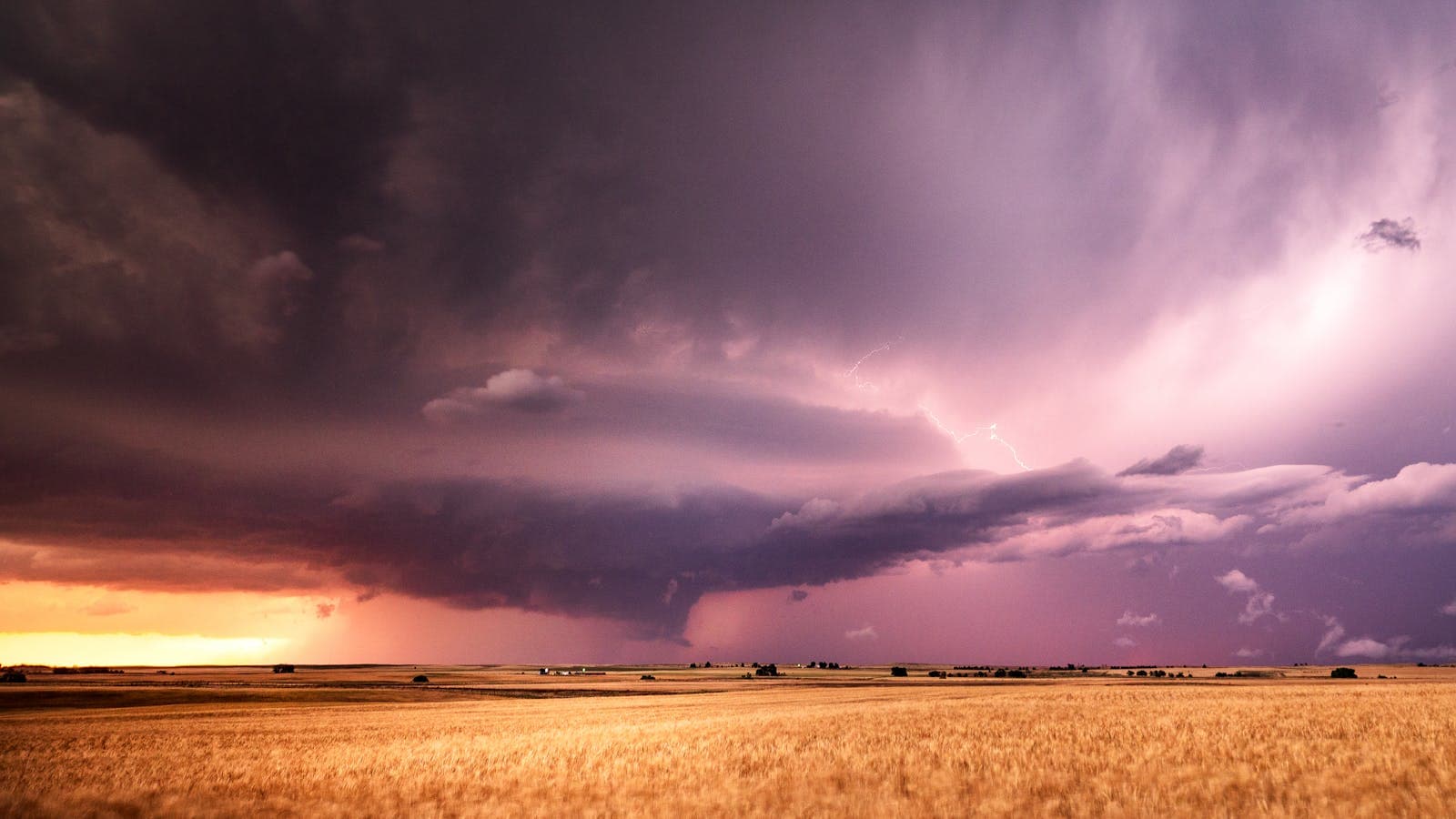 A golden wheat field stretches beneath a dramatic purple prairie storm with a warm sunset glowing on the horizon.