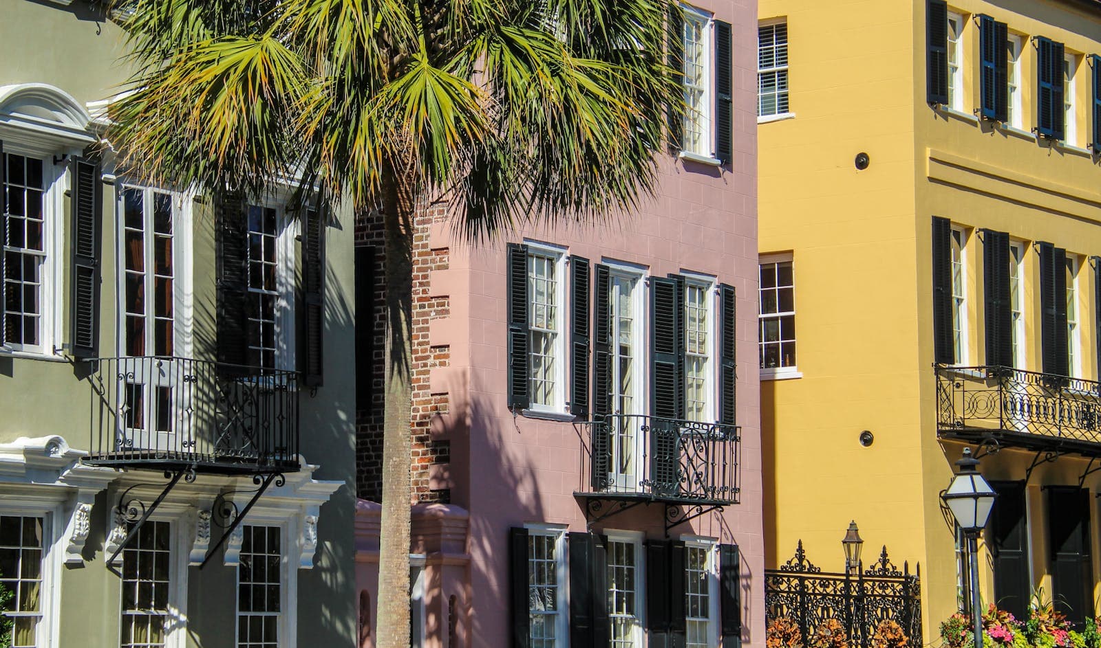 Sunlit pastel row houses with black shutters and wrought-iron balconies framed by a palmetto tree on Charleston's Rainbow Row.