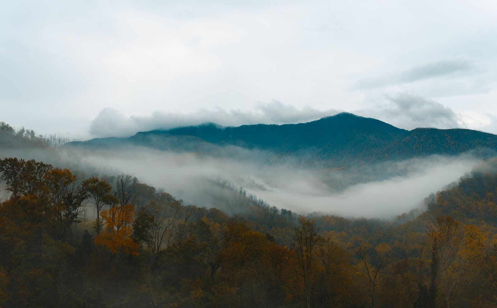 Morning mist drifts through a valley of golden autumn forest beneath the layered blue ridges of the Great Smoky Mountains near Gatlinburg.