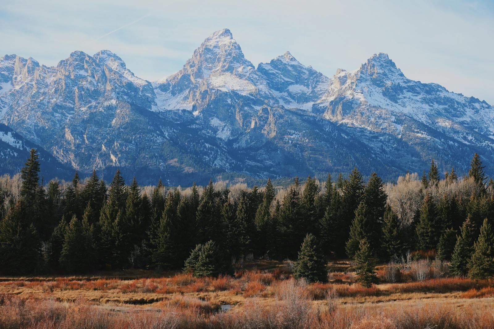 Snow-dusted Grand Teton peaks rise above evergreen forest and russet autumn meadows in Wyoming.
